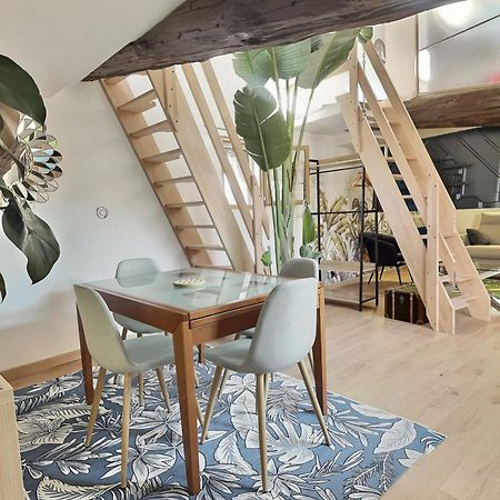 Appartement Jungle Loft Beziers Centre Extérieur photo