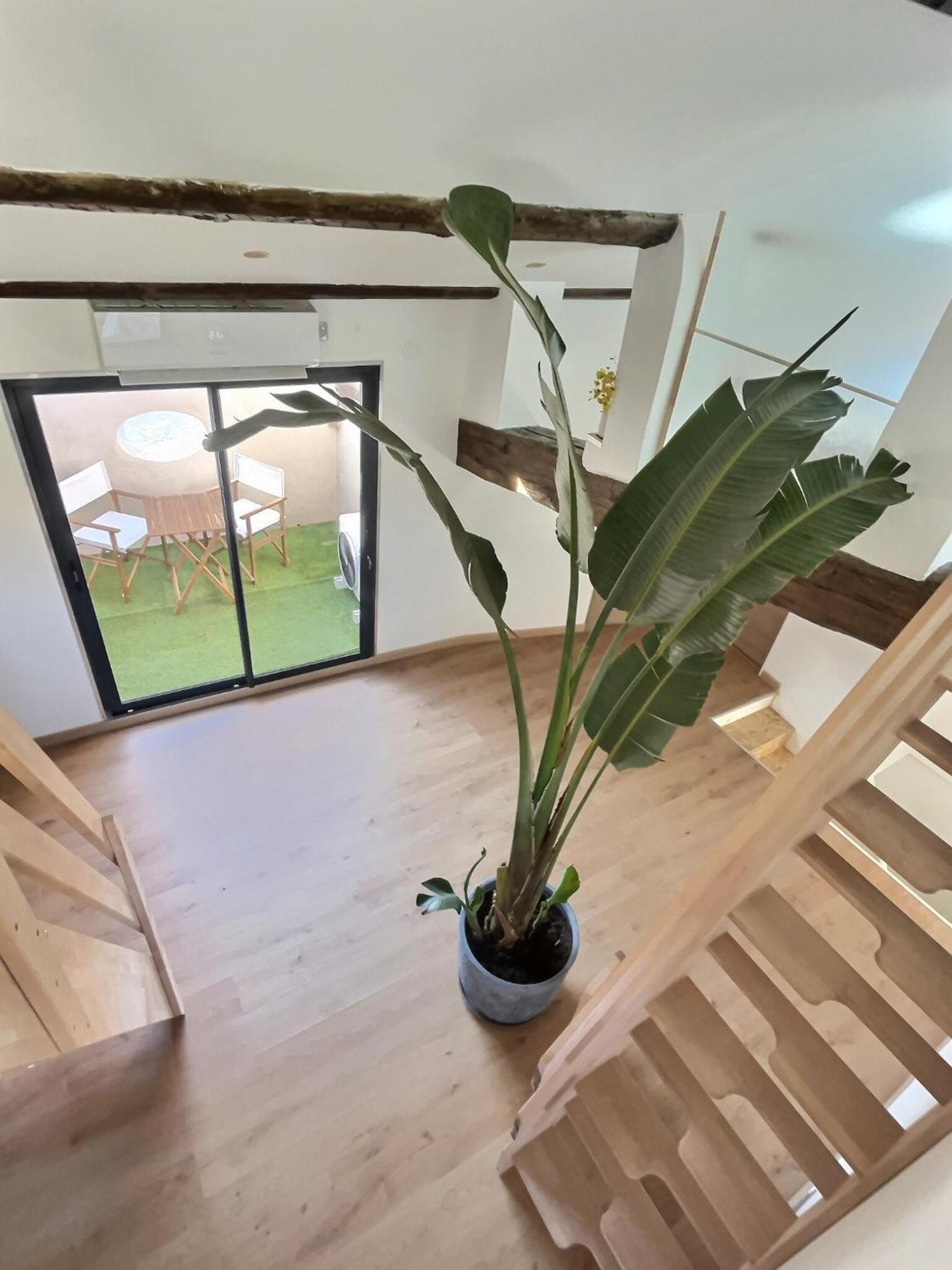 Appartement Jungle Loft Beziers Centre Extérieur photo