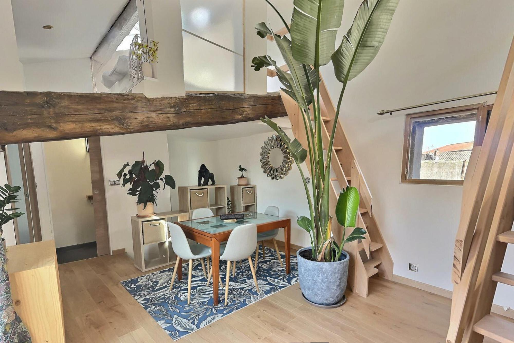 Appartement Jungle Loft Beziers Centre Extérieur photo